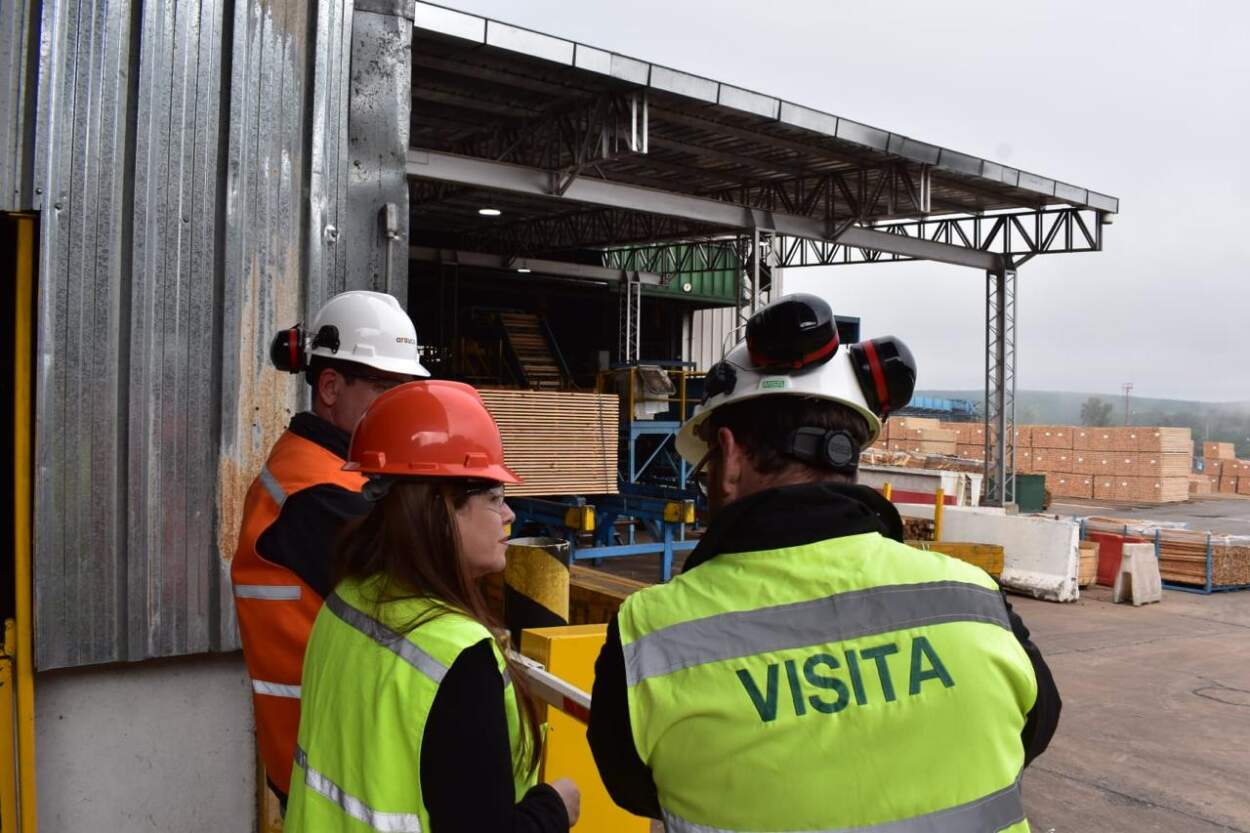 Trabajo impulsa y acompaña la inclusión laboral junto a empresa foresto-industrial en Puerto Piray Trabajo impulsa y acompaña la inclusión laboral junto a empresa foresto-industrial en Puerto Piray imagen-1