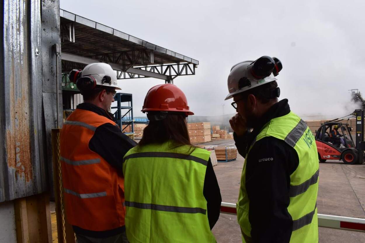 Trabajo impulsa y acompaña la inclusión laboral junto a empresa foresto-industrial en Puerto Piray 5 Trabajo impulsa y acompaña la inclusión laboral junto a empresa foresto-industrial en Puerto Piray imagen-4