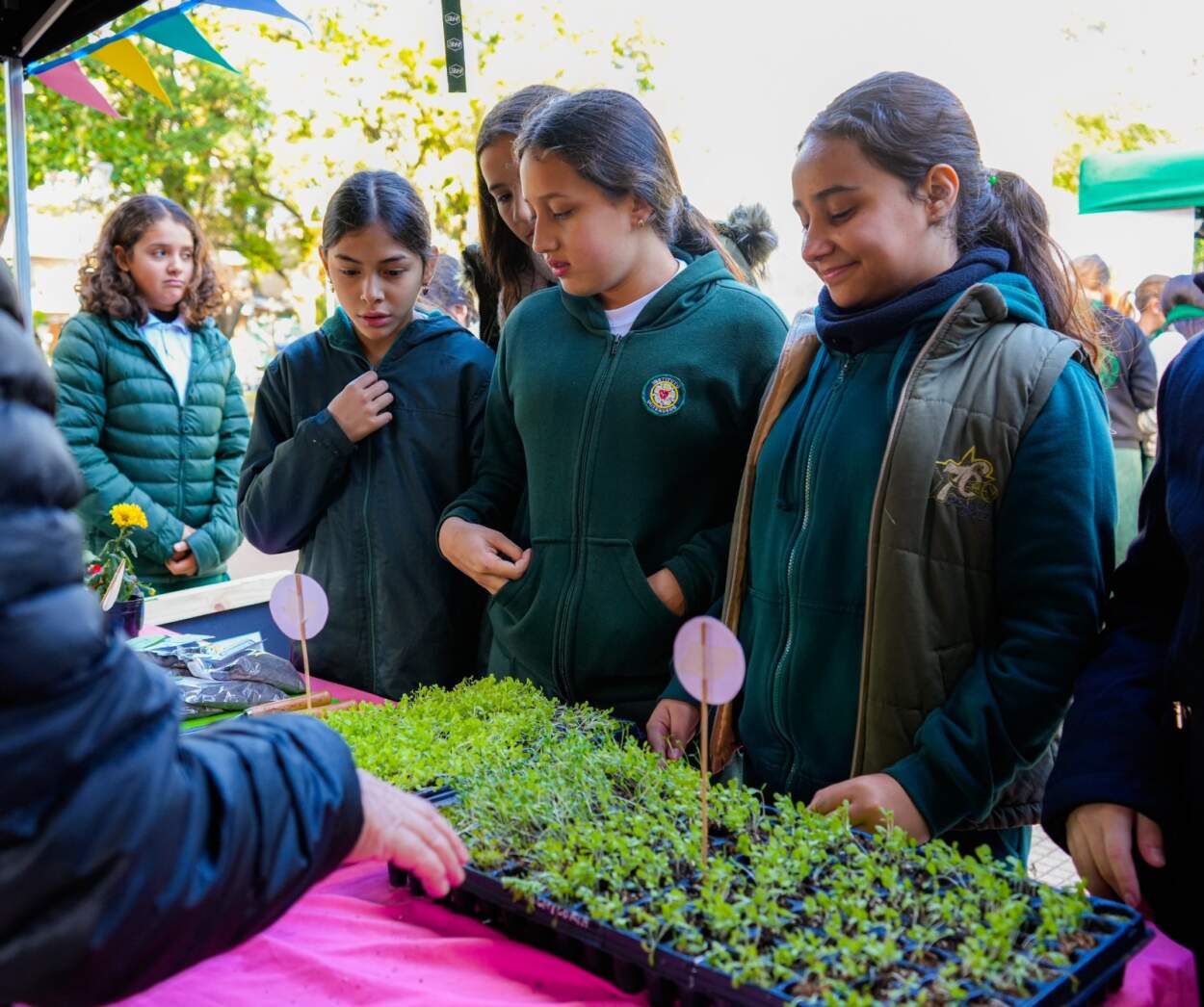Jornada por el Día Mundial del Medio Ambiente en la Plaza San Martín, con iniciativas comprometidas con la sostenibilidad 3 Jornada por el Día Mundial del Medio Ambiente en la Plaza San Martín, con iniciativas comprometidas con la sostenibilidad imagen-2