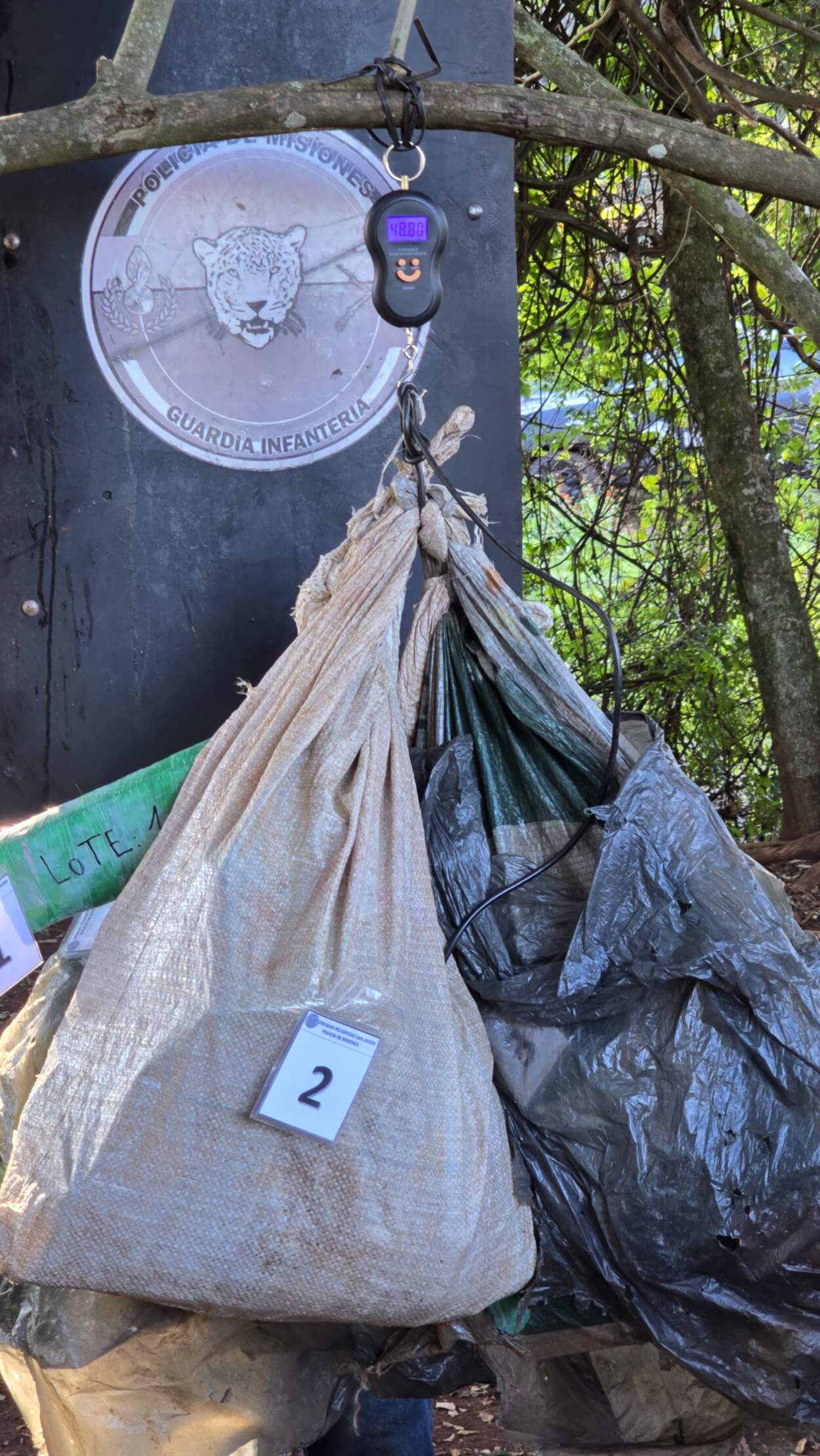 Desarticulan un búnker narco en San Javier: detienen al operador y secuestran marihuana valuada en $146 millones 5 Desarticulan un búnker narco en San Javier: detienen al operador y secuestran marihuana valuada en $146 millones imagen-4