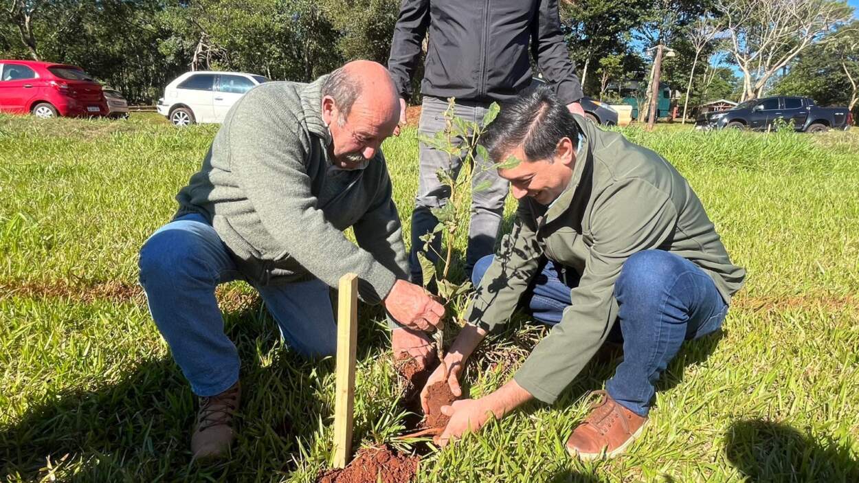 Plantaron 10 mil árboles nativos en Puerto Libertad imagen-4