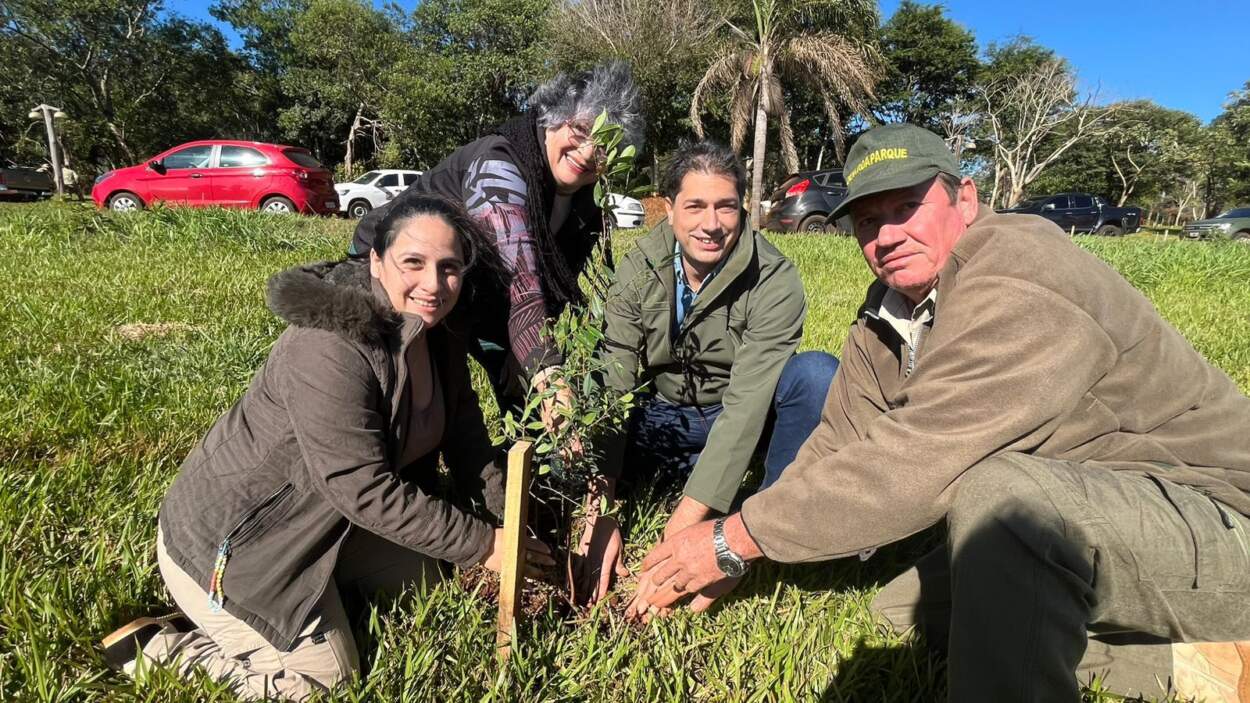 Plantaron 10 mil árboles nativos en Puerto Libertad imagen-6