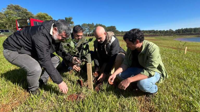 Plantaron 10 mil árboles nativos en Puerto Libertad imagen-12