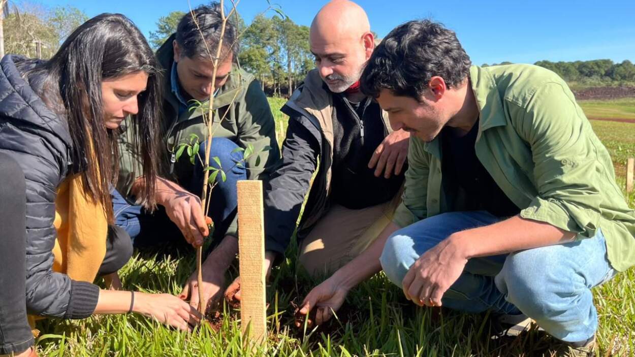 Plantaron 10 mil árboles nativos en Puerto Libertad imagen-8