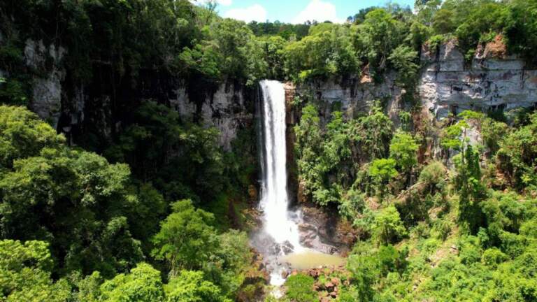 Misiones celebra el Día Provincial de las Áreas Naturales Protegidas con 116 unidades de conservación y el fortalecimiento de políticas ambientales imagen-43