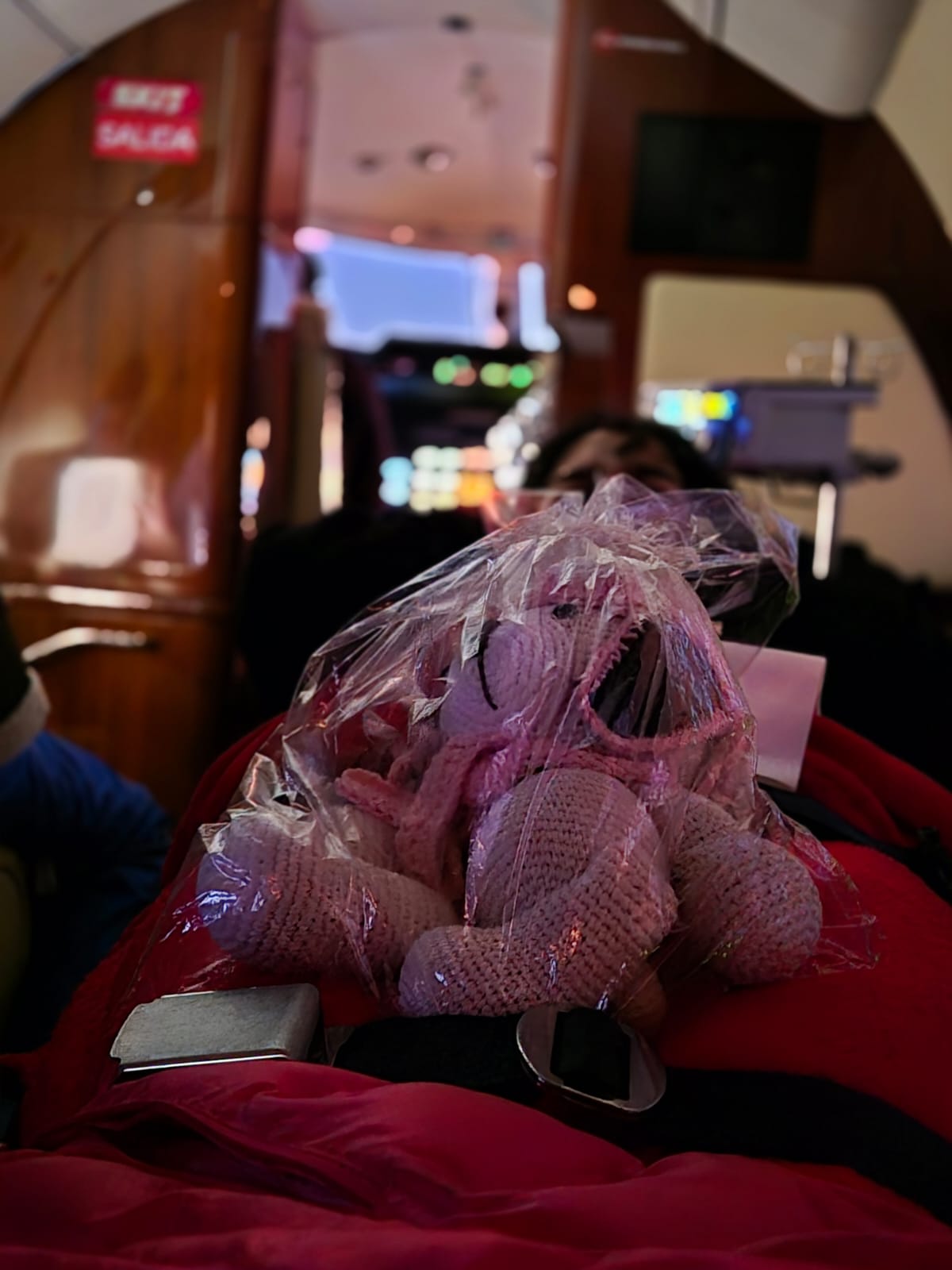 El Gobierno provincial garantizó el viaje seguro de una estudiante que se descompensó en Buenos Aires tras la activación del protocolo de viajes escolares 3 El Gobierno provincial garantizó el viaje seguro de una estudiante que se descompensó en Buenos Aires tras la activación del protocolo de viajes escolares imagen-2