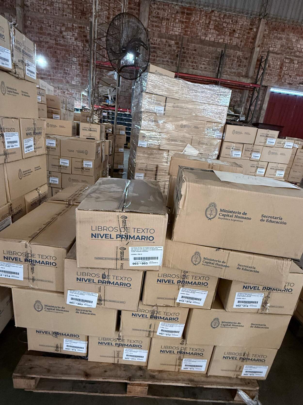 Más de 400 mil libros de Lengua y Matemática llegan a Escuelas de la provincia imagen-4