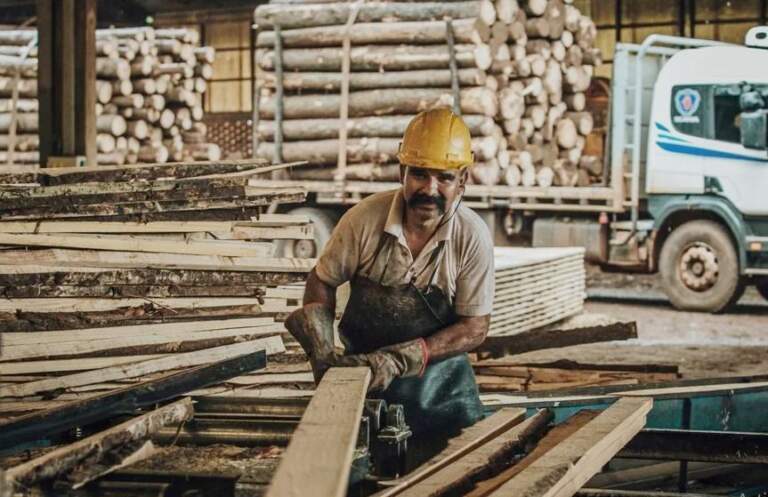 Misiones propone a Nación más reintegros forestales y menor IVA a la fécula de mandioca imagen-9