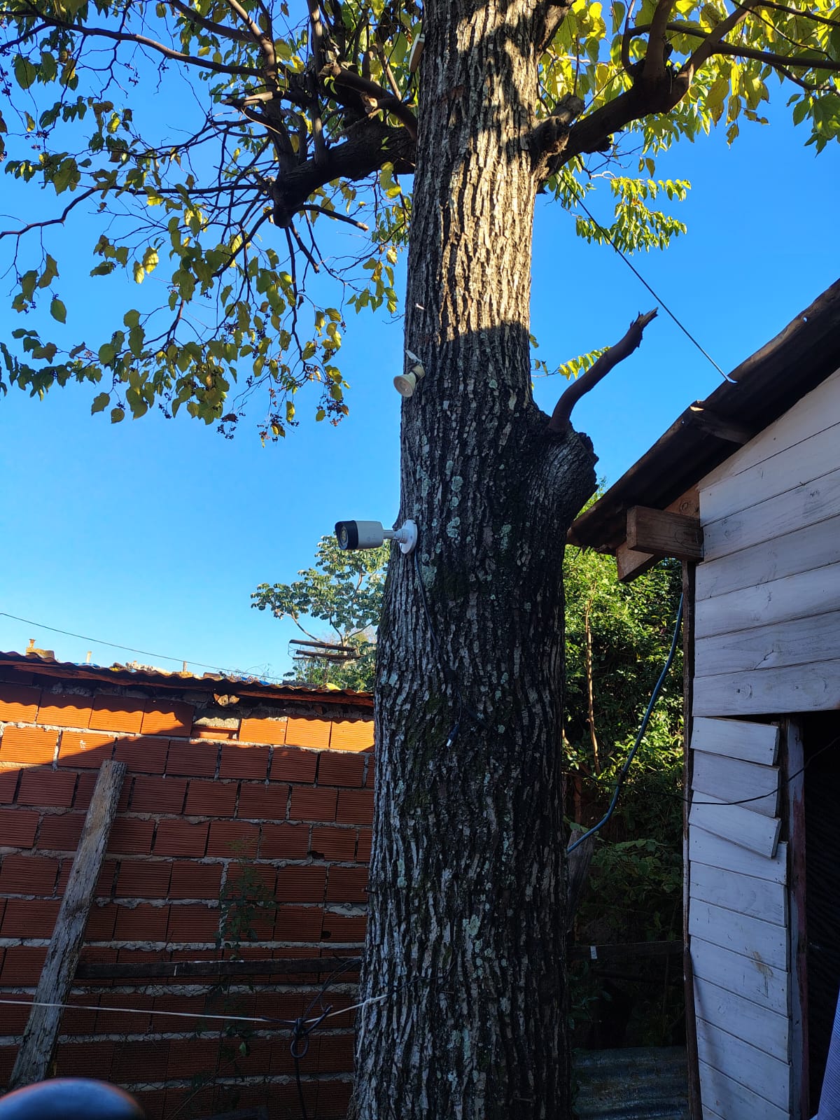 Desmantelan sistema ilegal de videovigilancia usado por bandas criminales para eludir a la Policía 11 Desmantelan sistema ilegal de videovigilancia usado por bandas criminales para eludir a la Policía imagen-10