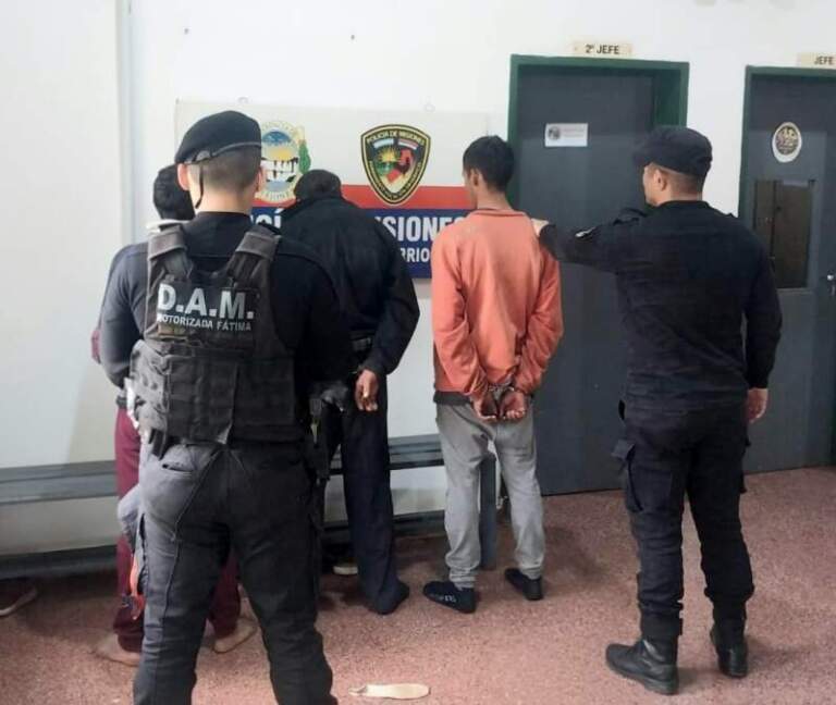 Detuvieron a tres delincuentes con frondosos antecedentes tras un asalto en el barrio A3-2 de Posadas imagen-19