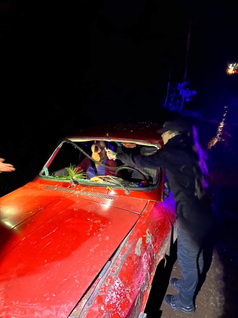 Tormentas en Misiones: la Policía respondió a emergencias por caída de árboles, daños en viviendas y accidentes viales imagen-2