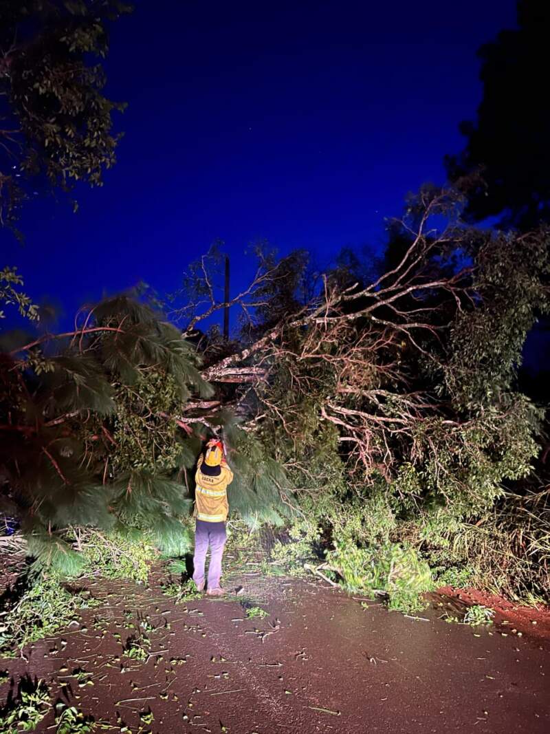 Tormentas en Misiones: la Policía respondió a emergencias por caída de árboles, daños en viviendas y accidentes viales imagen-6