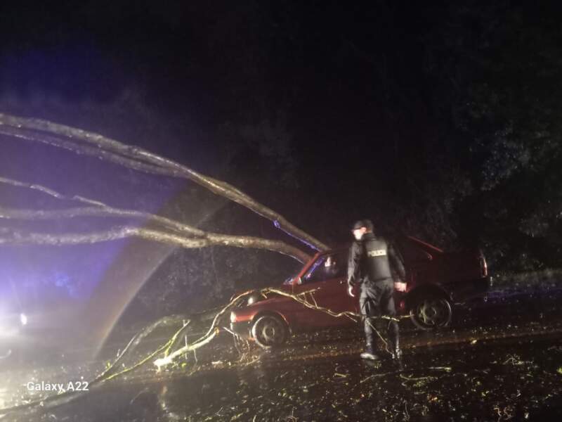 Tormentas en Misiones: la Policía respondió a emergencias por caída de árboles, daños en viviendas y accidentes viales imagen-8