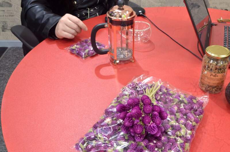 La Generación Z impulsa el consumo de mate con hierbas: La productora de Ñambi Yuyos destacó las nuevas formas de tomar la infusión imagen-6