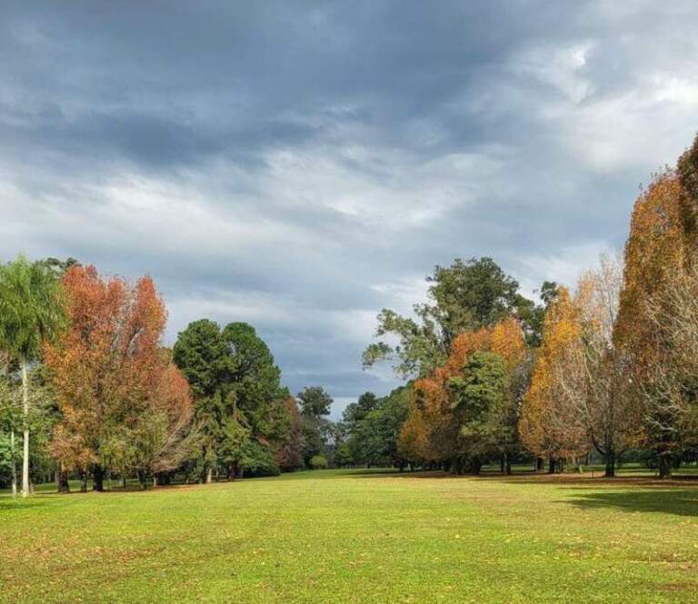 Cerca de celebrar sus 80 años el Club Tacurú sigue apostando al desarrollo de distintas disciplinas imagen-31