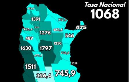 Destacan a Misiones entre las provincias más seguras del país: registra una de las tasas de robo más bajas imagen-9