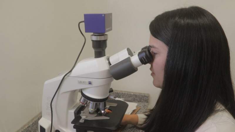 El Departamento de Diagnóstico del Madariaga: un eje fundamental en la atención integral en salud 5 El Departamento de Diagnóstico del Madariaga: un eje fundamental en la atención integral en salud imagen-4