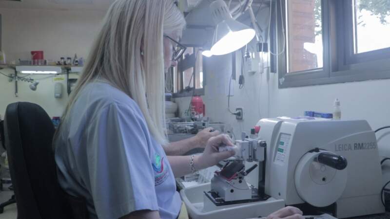 El Departamento de Diagnóstico del Madariaga: un eje fundamental en la atención integral en salud 7 El Departamento de Diagnóstico del Madariaga: un eje fundamental en la atención integral en salud imagen-6