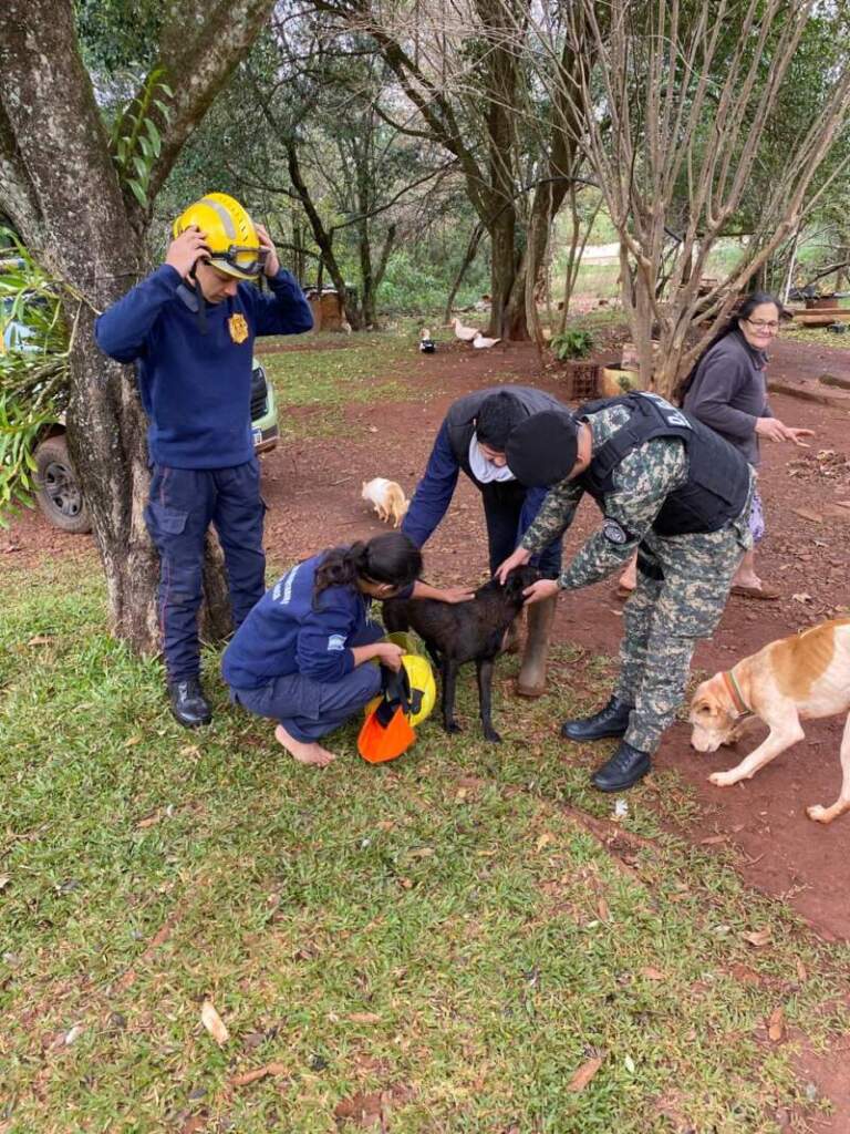Rescatan a un perro que cayó a un pozo de ocho metros en Roca Chica imagen-35