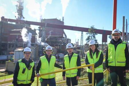 Romero Spinelli trabaja con Arauco en un modelo de inclusión laboral para personas con discapacidad imagen-8