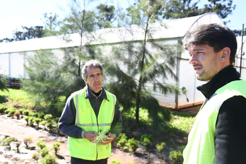 Romero Spinelli trabaja con Arauco en un modelo de inclusión laboral para personas con discapacidad 5 Romero Spinelli trabaja con Arauco en un modelo de inclusión laboral para personas con discapacidad imagen-4