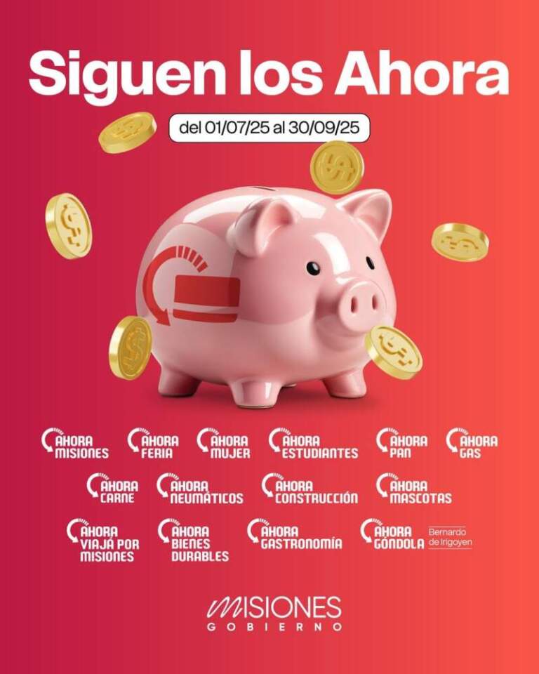 Passalacqua anunció la extensión de los programas "Ahora" hasta septiembre de este año imagen-11