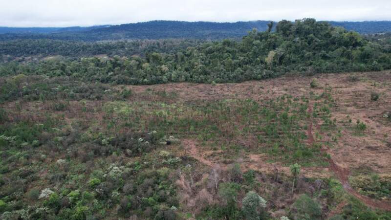 Inspección de Ecología en Caraguatay ante denuncia de la comunidad Yacá Porá imagen-4