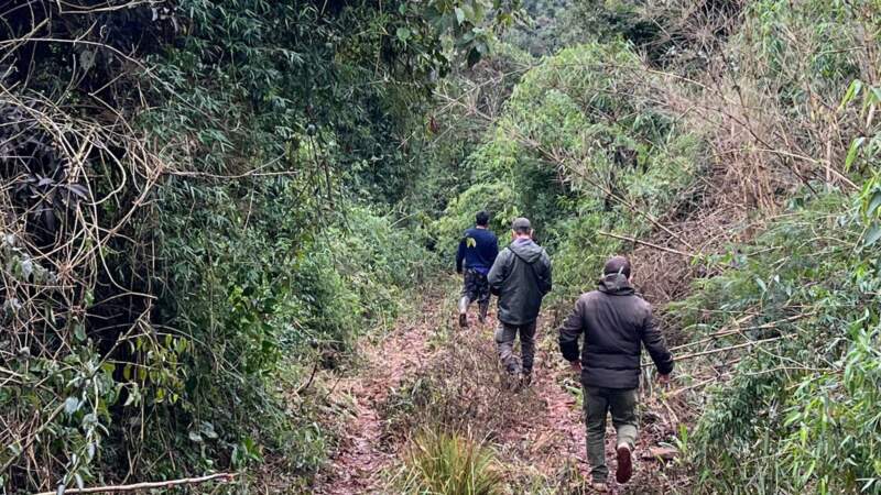 Inspección de Ecología en Caraguatay ante denuncia de la comunidad Yacá Porá imagen-2