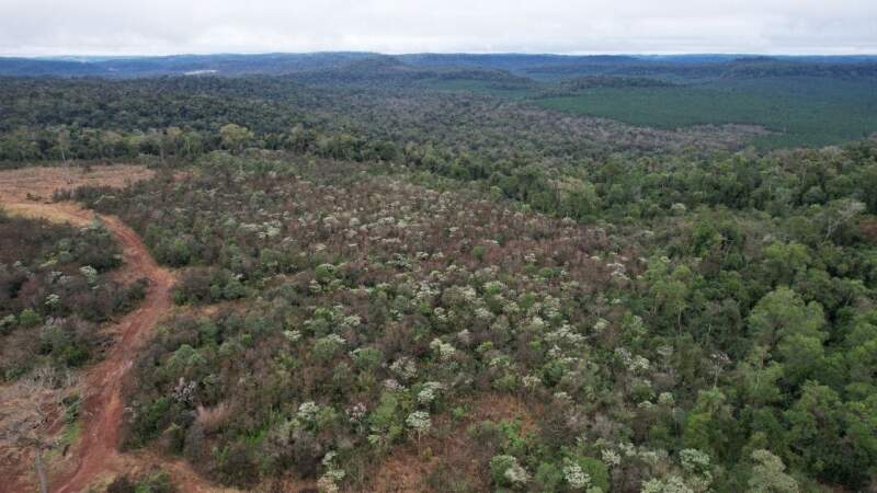 Inspección de Ecología en Caraguatay ante denuncia de la comunidad Yacá Porá imagen-8