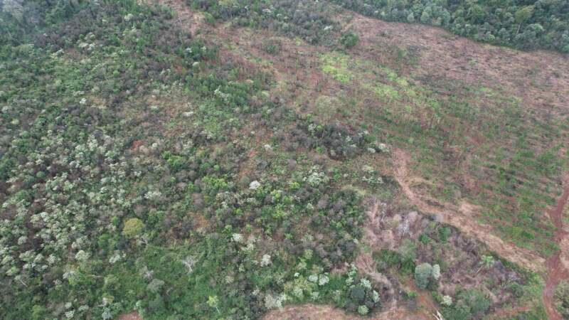 Inspección de Ecología en Caraguatay ante denuncia de la comunidad Yacá Porá imagen-10