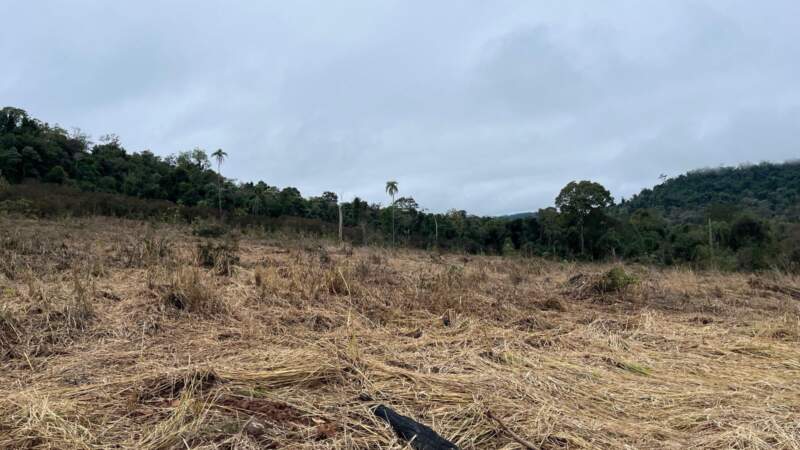 Inspección de Ecología en Caraguatay ante denuncia de la comunidad Yacá Porá imagen-6