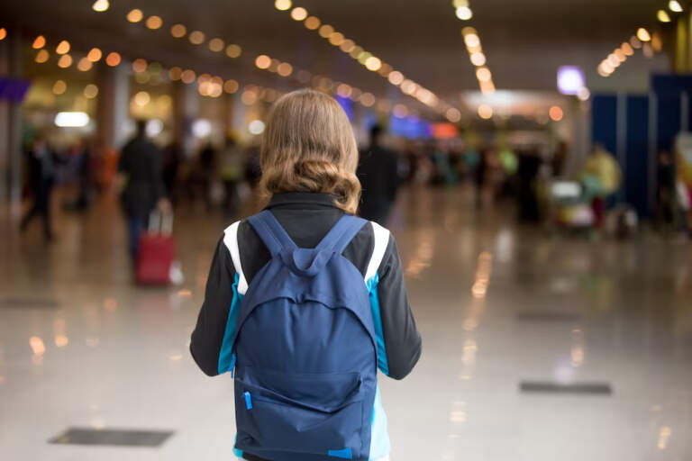 Viajes al exterior de menores: fijaron la tasa aplicable para la gestión del nuevo trámite imagen-46