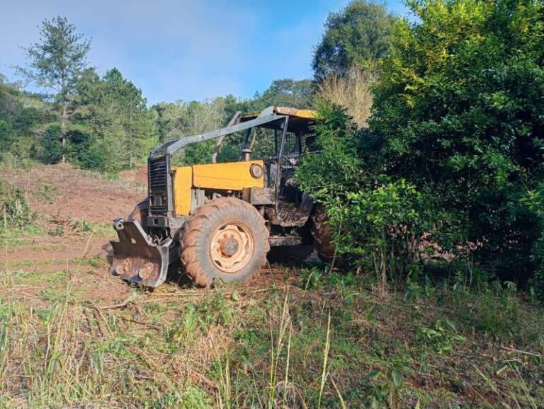 Caraguatay: denuncian que avanzan con topadoras sobre territorio donde se asienta la comunidad mbya guaraní Yakã Porã imagen-11
