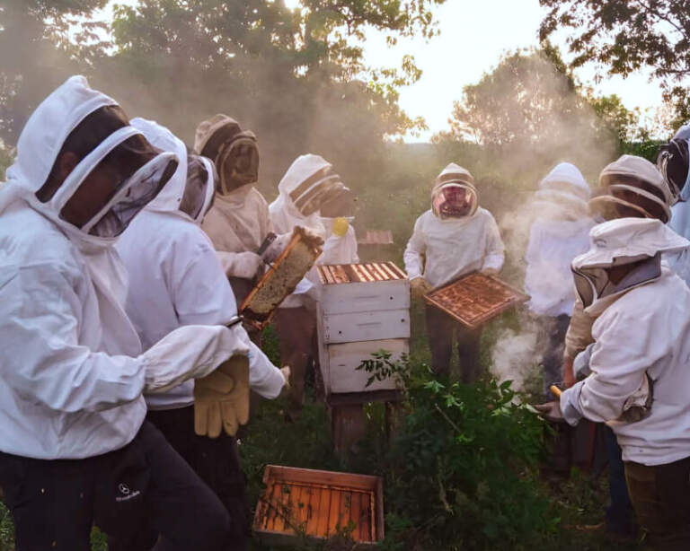 La Provincia celebra a sus apicultores: Ferias y actividades para reconocer su aporte al desarrollo local imagen-28