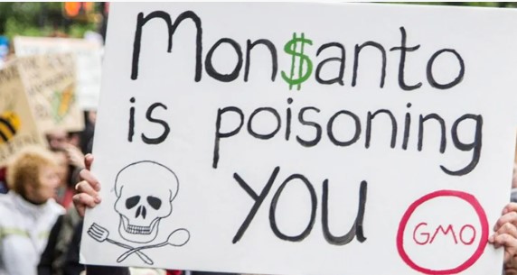 Bayer baraja la quiebra de Monsanto por los daños a la salud producidos por el glifosato 3 Bayer baraja la quiebra de Monsanto por los daños a la salud producidos por el glifosato imagen-2