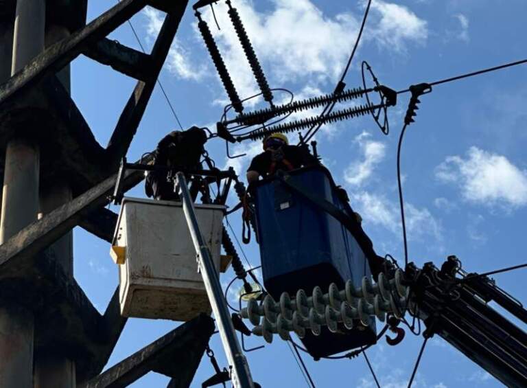 Energía de Misiones llevó a cabo tareas de mantenimiento preventivo en líneas de alta tensión en Posadas imagen-38