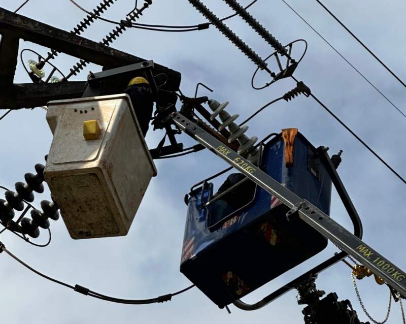 Energía de Misiones llevó a cabo tareas de mantenimiento preventivo en líneas de alta tensión en Posadas imagen-4