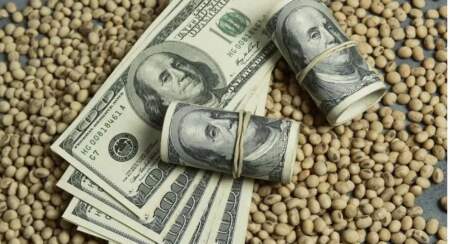 Dólares: "Se van a quedar secos hasta noviembre", la advertencia del campo ante la suba de retenciones imagen-4