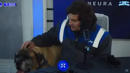 Javier Milei llevó a su perro Conan a un programa de streaming Javier Milei llevó a su perro Conan a un programa de streaming imagen-10