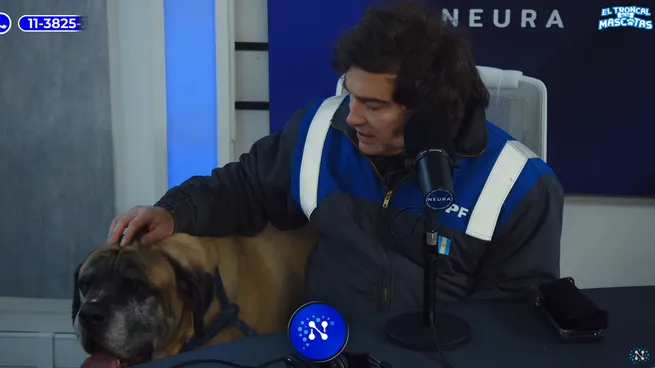 Javier Milei llevó a su perro Conan a un programa de streaming Javier Milei llevó a su perro Conan a un programa de streaming imagen-1