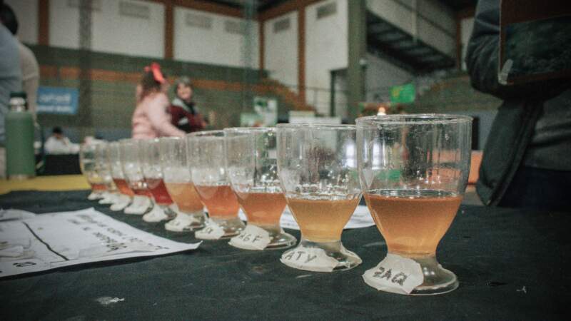 La meliponicultura tomó protagonismo en Misiones: una fiesta con mieles premiadas, ciencia y saberes rurales imagen-2