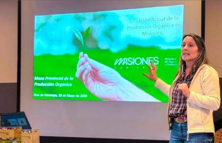 Con planificación estratégica y formación técnica en las chacras, Misiones profundiza su modelo de producción orgánica imagen-8