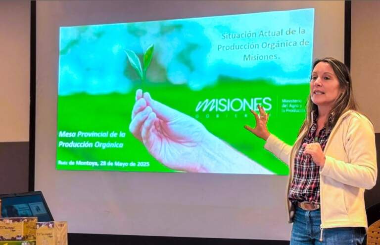 Con planificación estratégica y formación técnica en las chacras, Misiones profundiza su modelo de producción orgánica imagen-9
