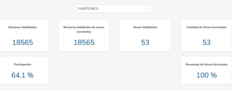 Elecciones 8J: en Puerto Rico ganó la Renovación con el 49,97% de los votos para el Concejo Deliberante imagen-27