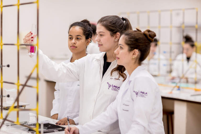 Brasil ofrece cupos gratuitos para argentinos en universidad pública federal imagen-19