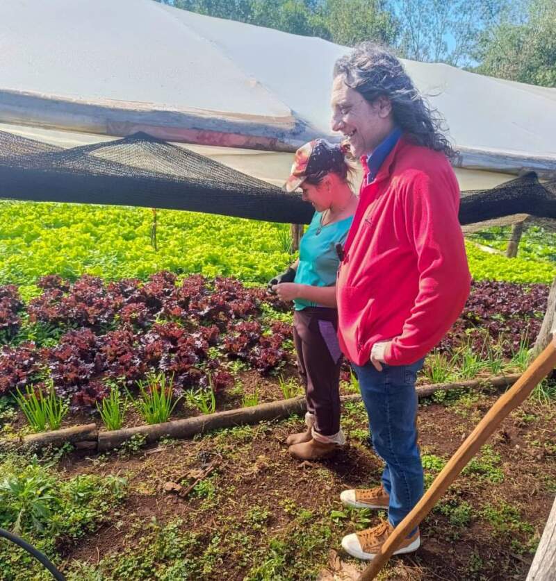 Familias productoras de Roca se sostienen construyendo soberanía alimentaria 5 Familias productoras de Roca se sostienen construyendo soberanía alimentaria imagen-4