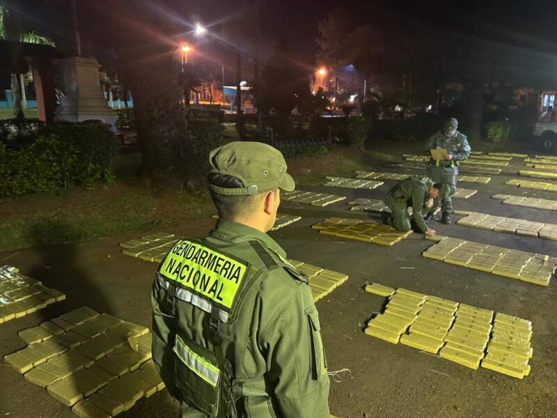 Patrulla motorizada detectó más de una tonelada de marihuana entre la maleza imagen-2