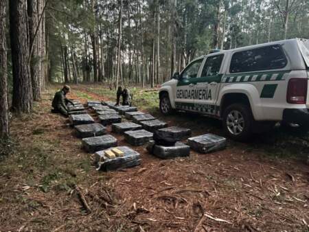 Patrulla motorizada detectó más de una tonelada de marihuana entre la maleza imagen-3