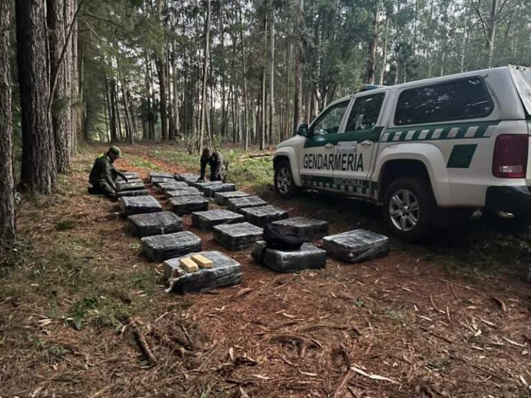 Patrulla motorizada detectó más de una tonelada de marihuana entre la maleza imagen-23