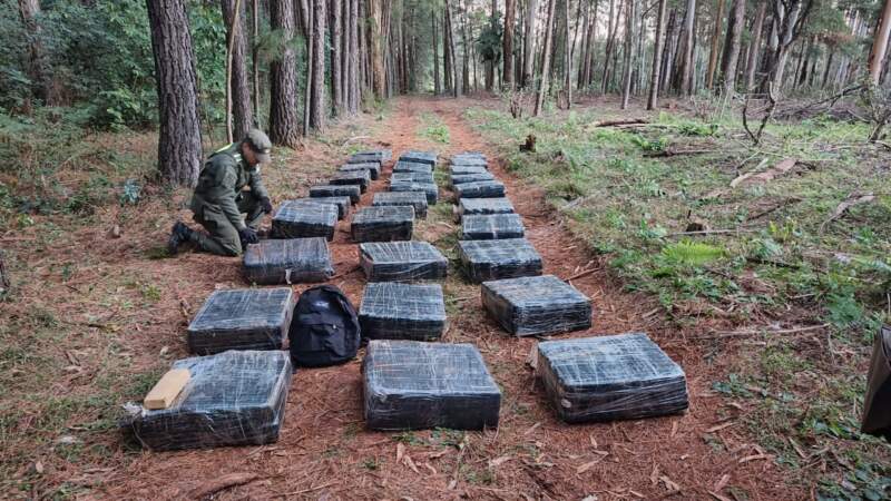 Patrulla motorizada detectó más de una tonelada de marihuana entre la maleza imagen-4